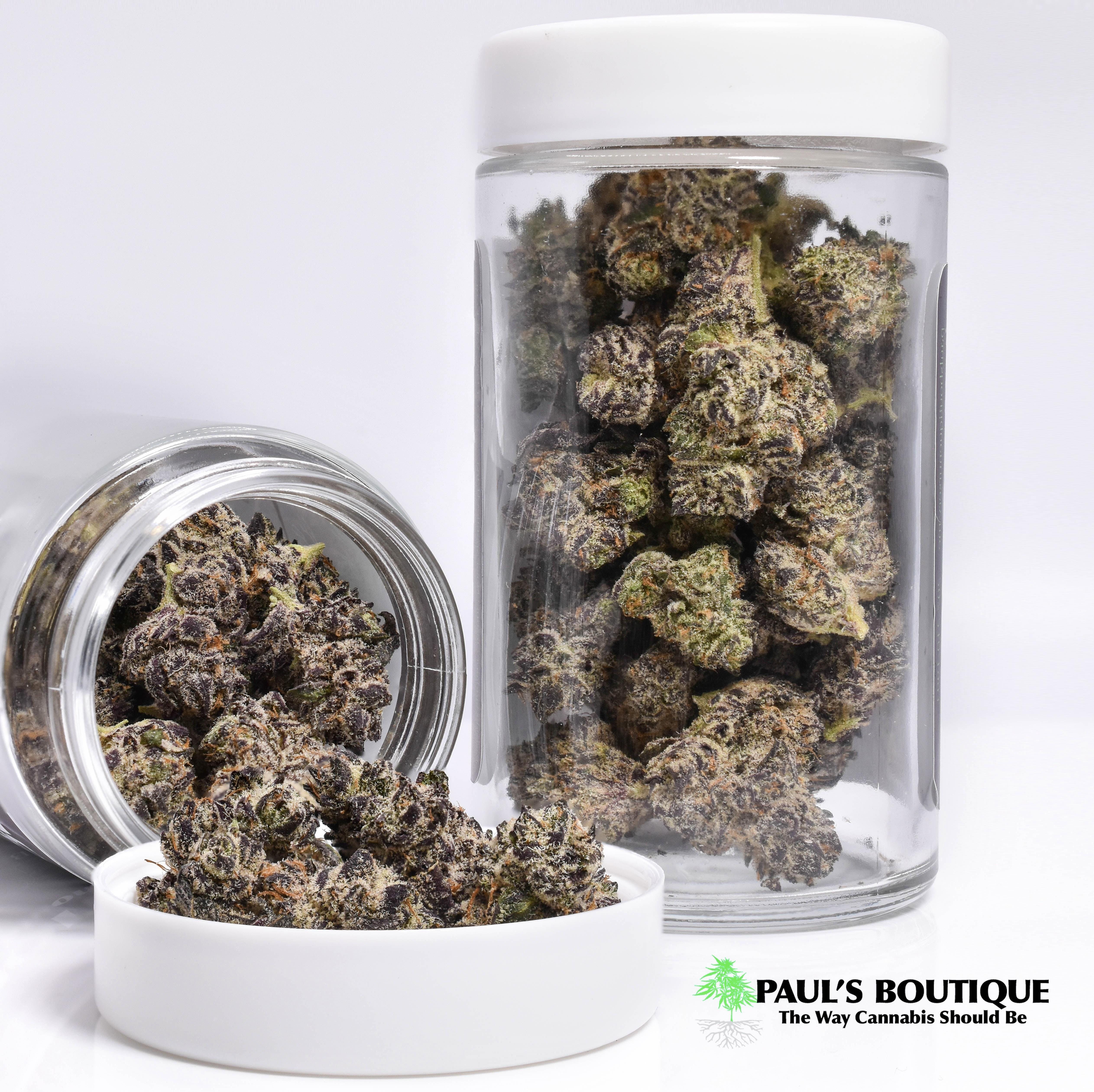 Garlic Cookies Little Buds