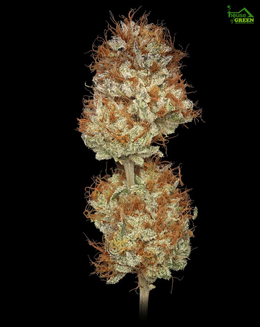 Willy's Wonca 1g Flower