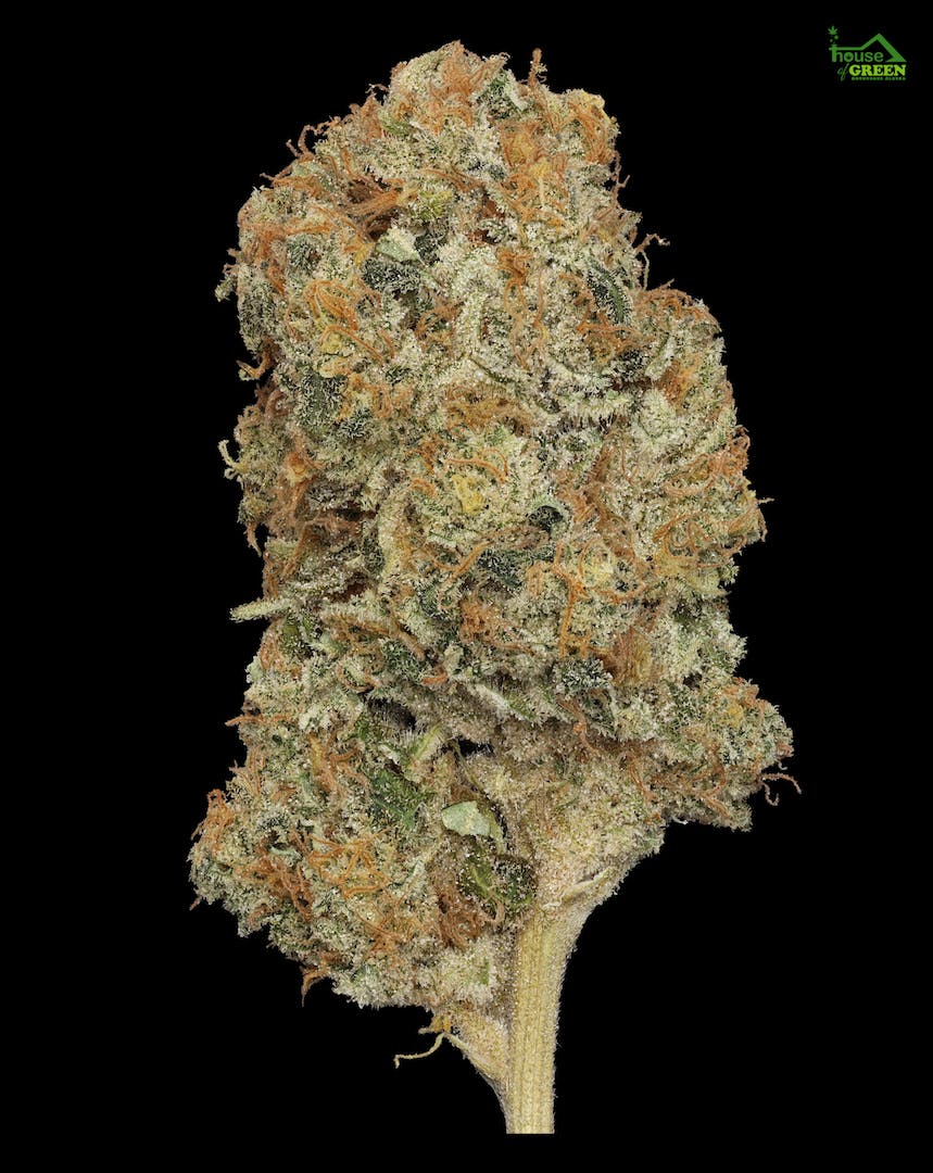 Opie Dopie 1.5g Fat Boy