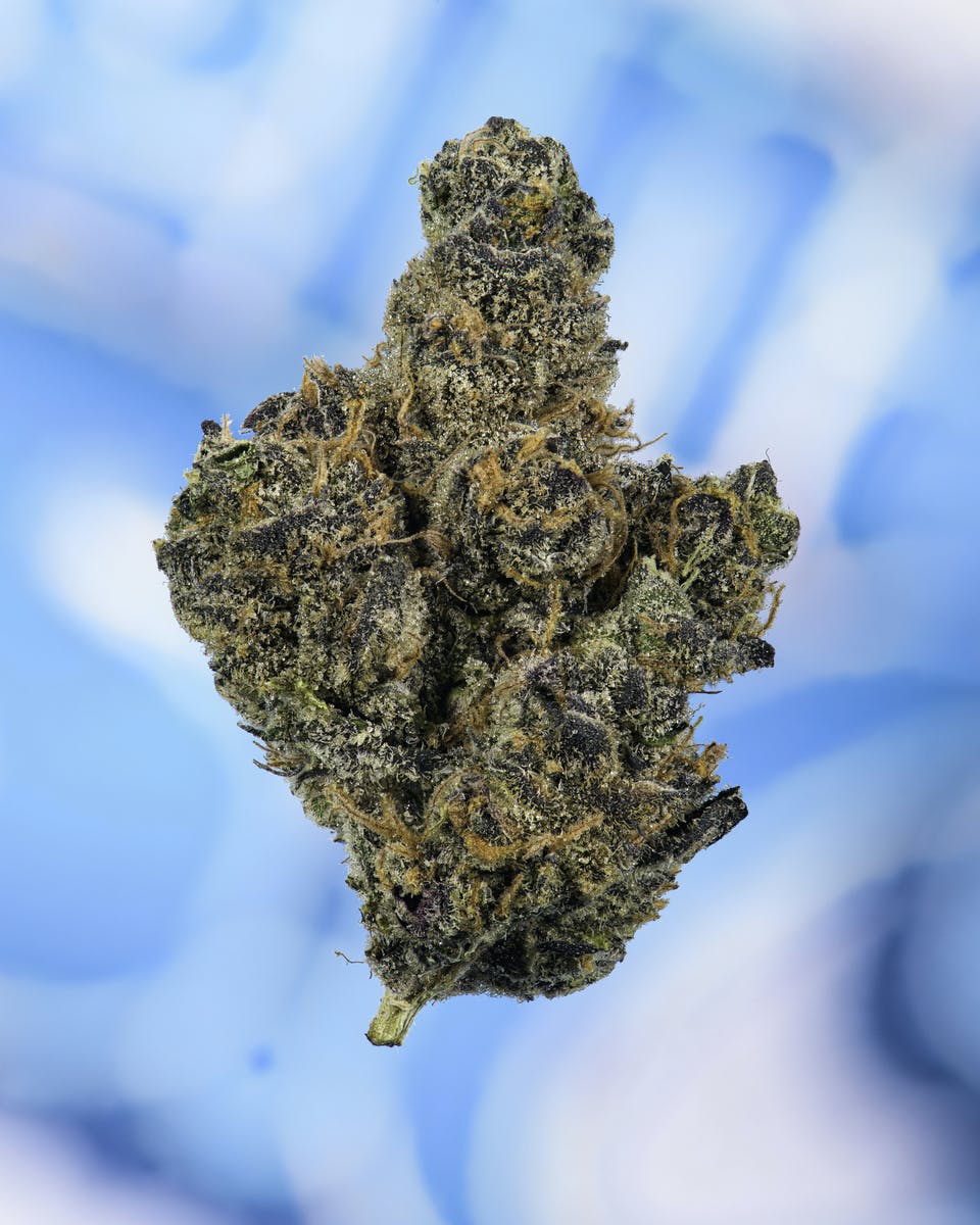 HIGH MART x Cookies - OG GSC