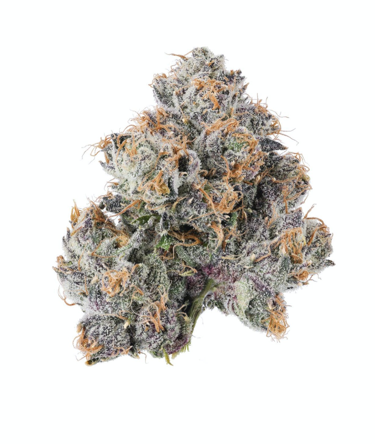 Pink Piranha - 3.5G Top Shelf Indoor Flower