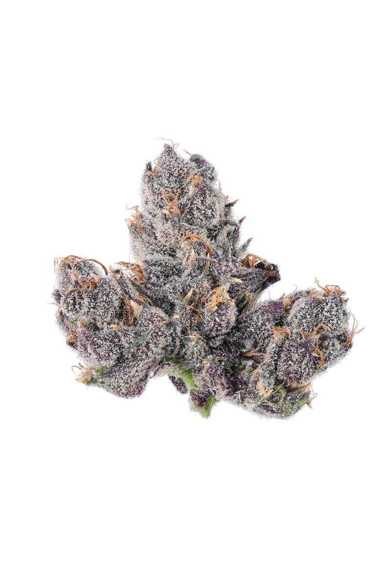 LCG 2.0 - 3.5G Top Shelf Indoor Flower