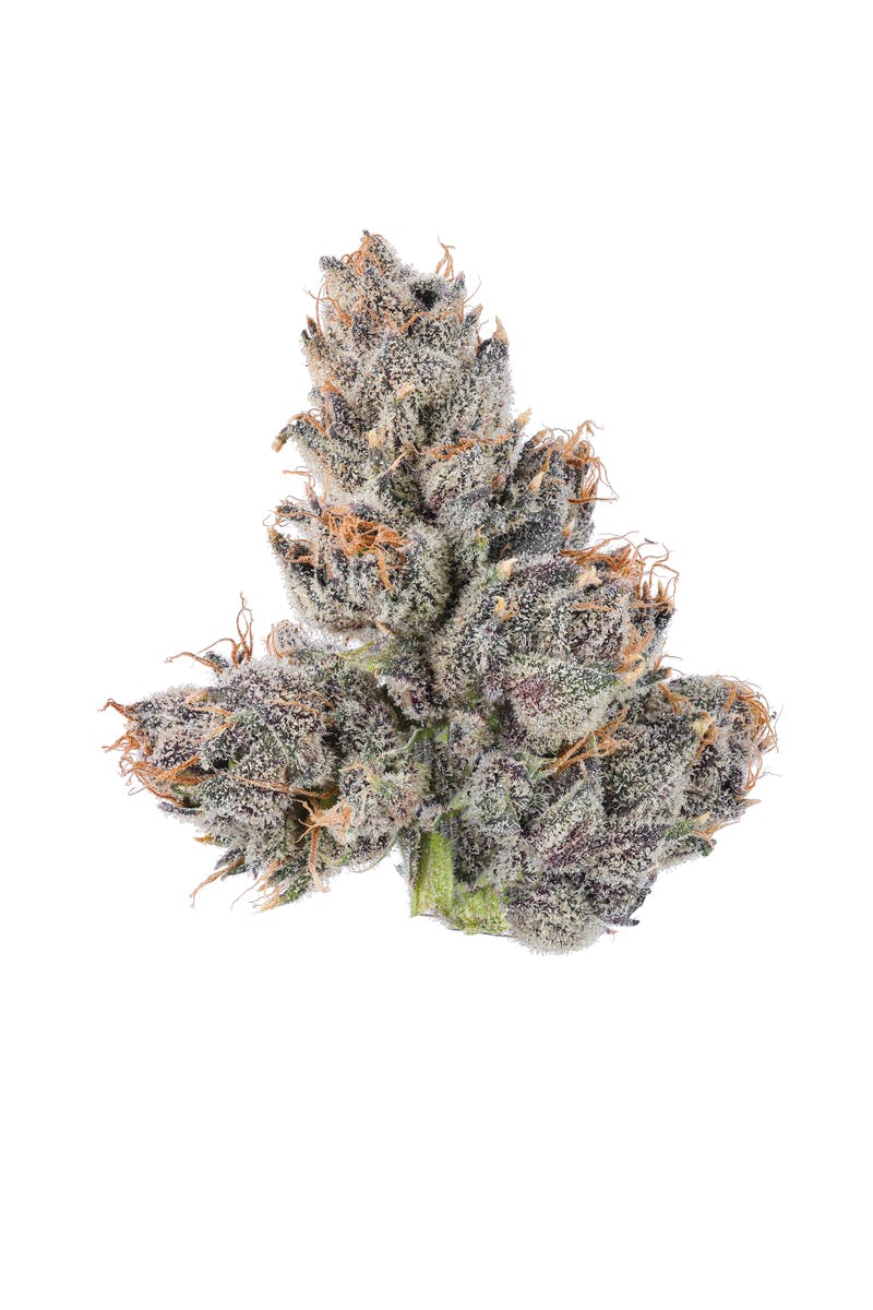 Gruntz- 3.5G Top Shelf Indoor Flower