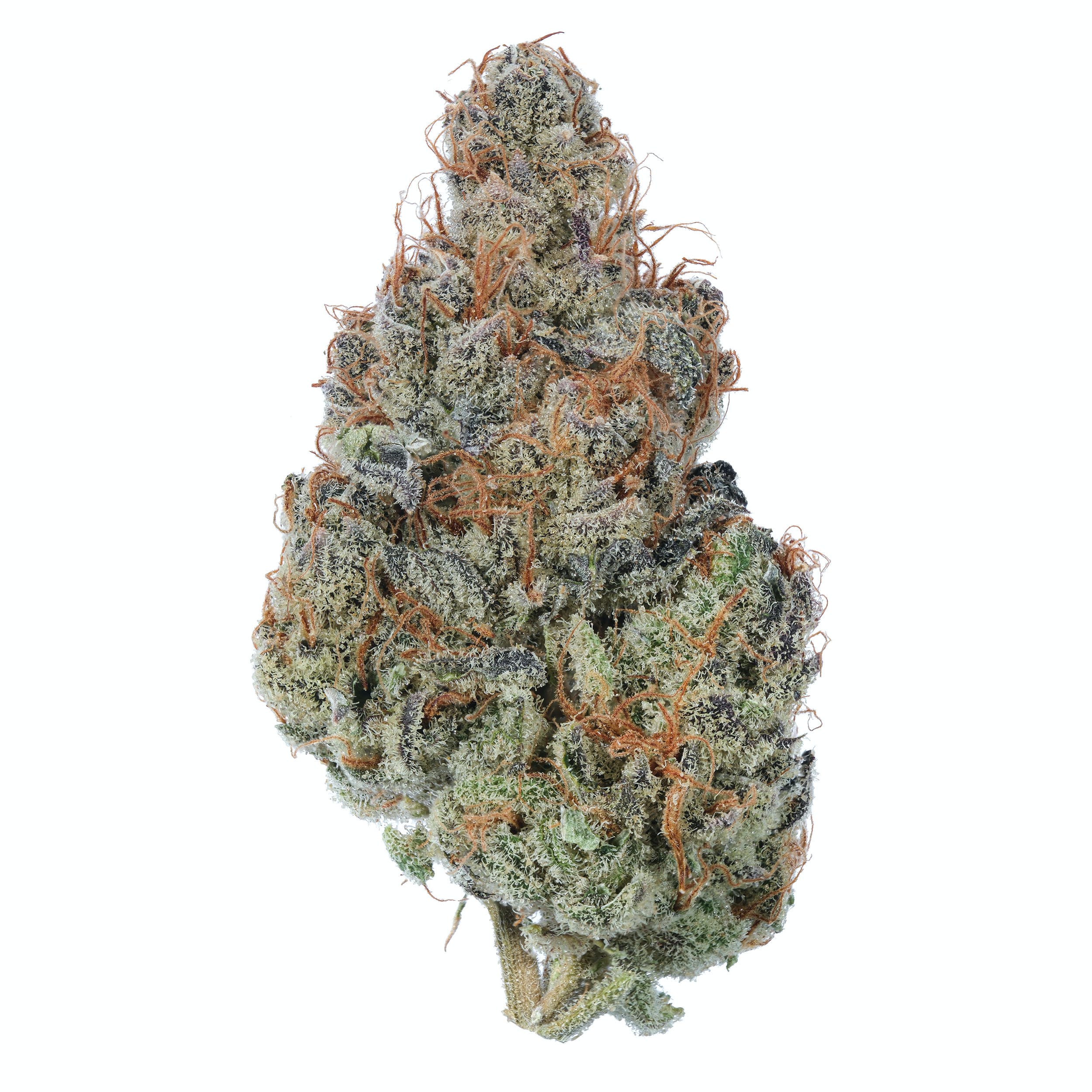 Peanut Butter Breath Flower