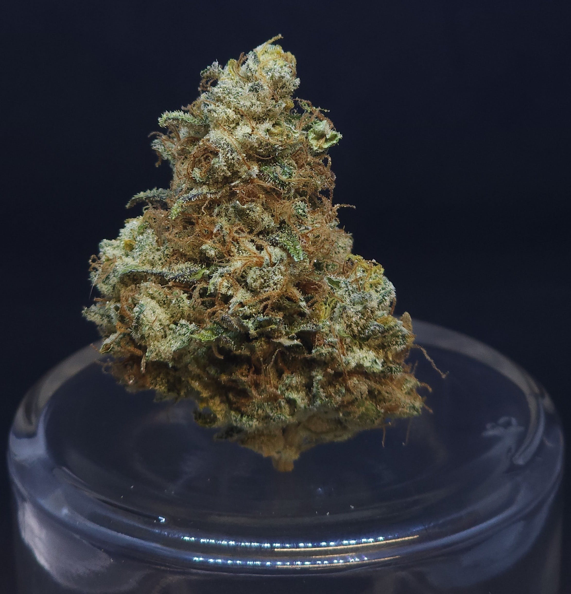 cAKe & Pie 3.5g Flower