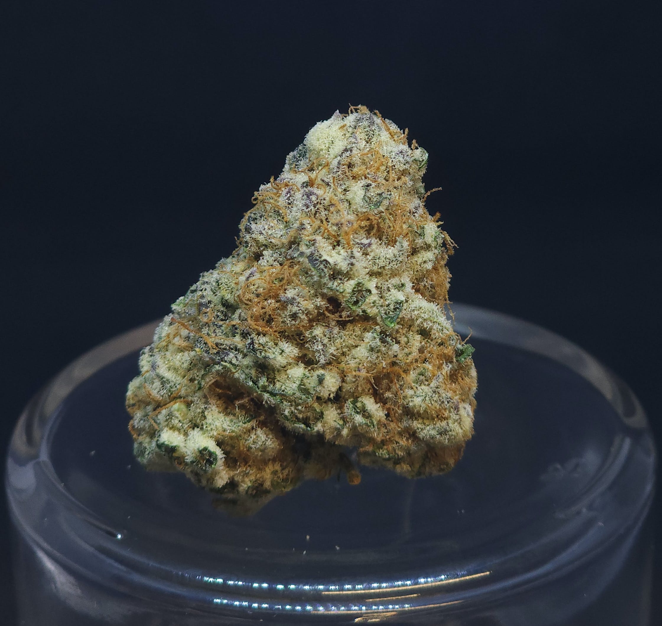 Purple Punch 1g Pre-Roll