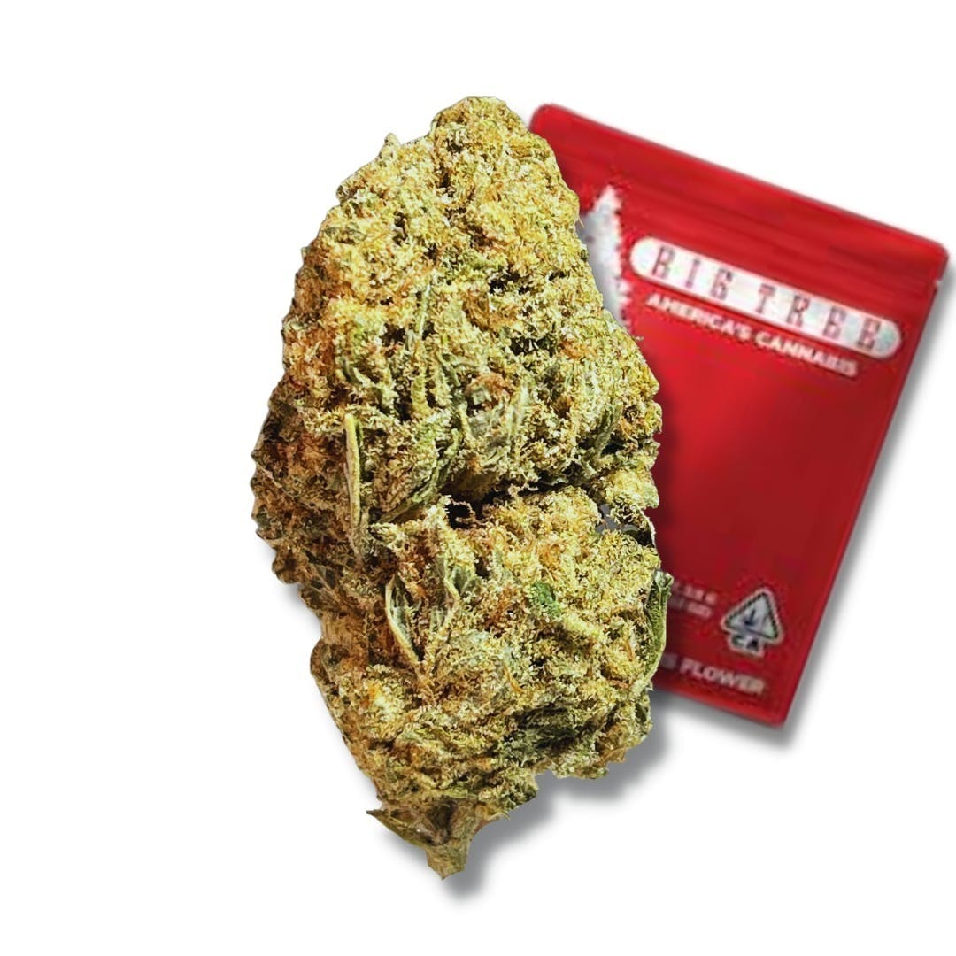 Big Tree - Cake Pop (H) - 14g