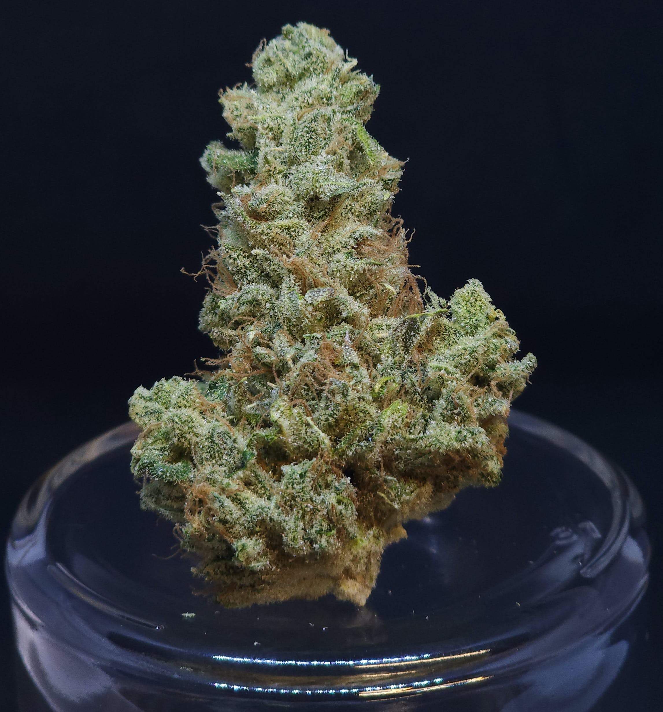 Scuba's KeyLime OG (previously PFD #7) .5g Pre-Roll