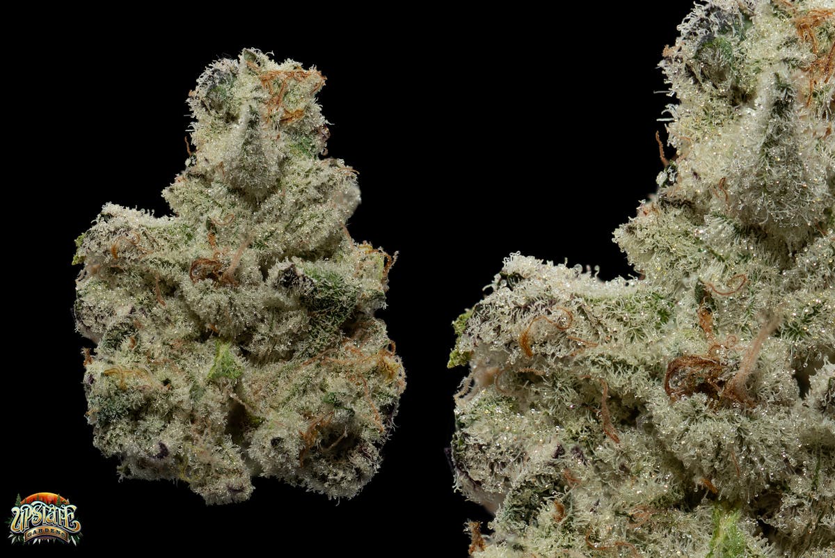 Flower: Cap Junky 1g