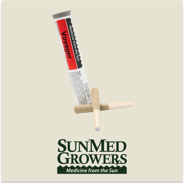 Voyager Pre Roll 0.5g/2 Pack