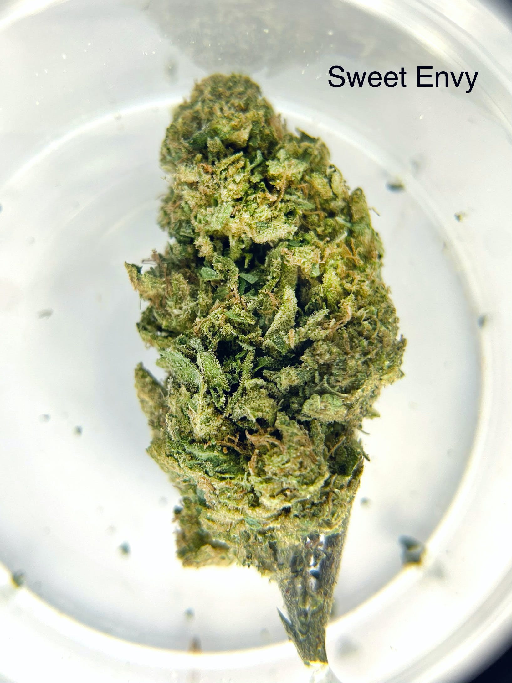 Sweet Envy 1/2Ounce/14Grams(29%THC,HYBRID)