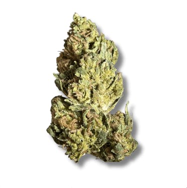 Exclusive - Captain America (H) - 28g