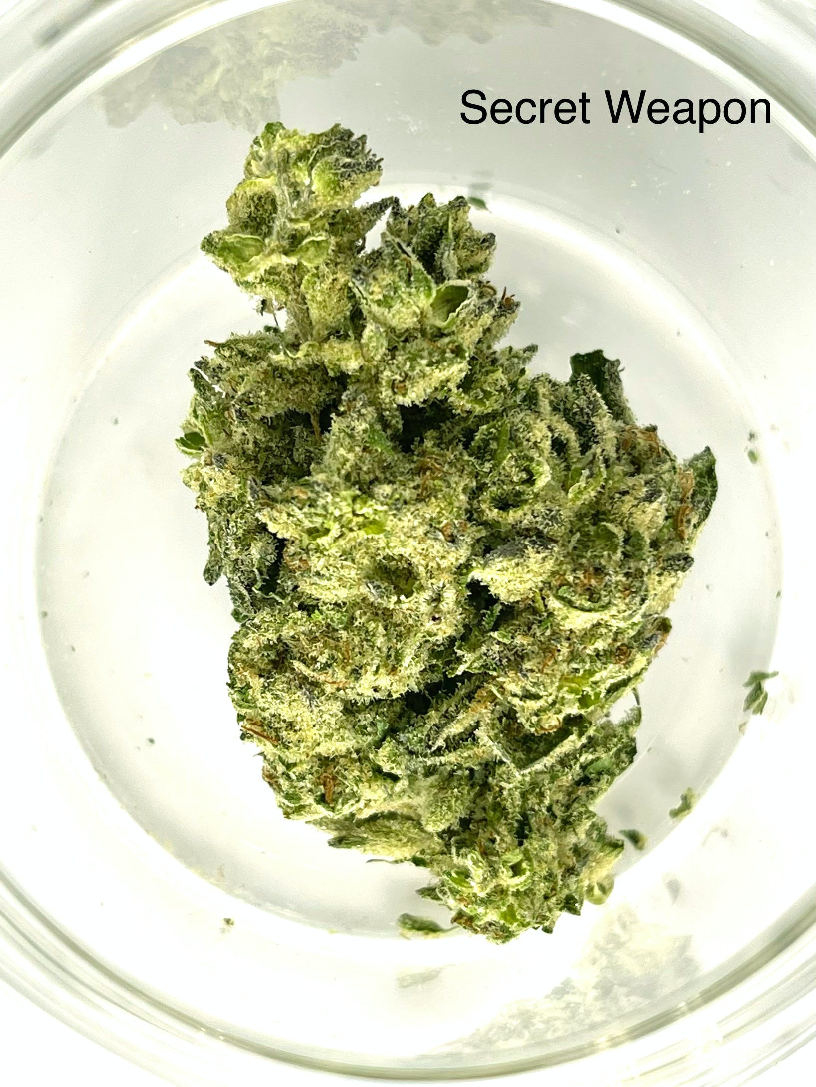 Secret Weapon 1/2 Ounce/14Grams(31%THC,SATIVA)
