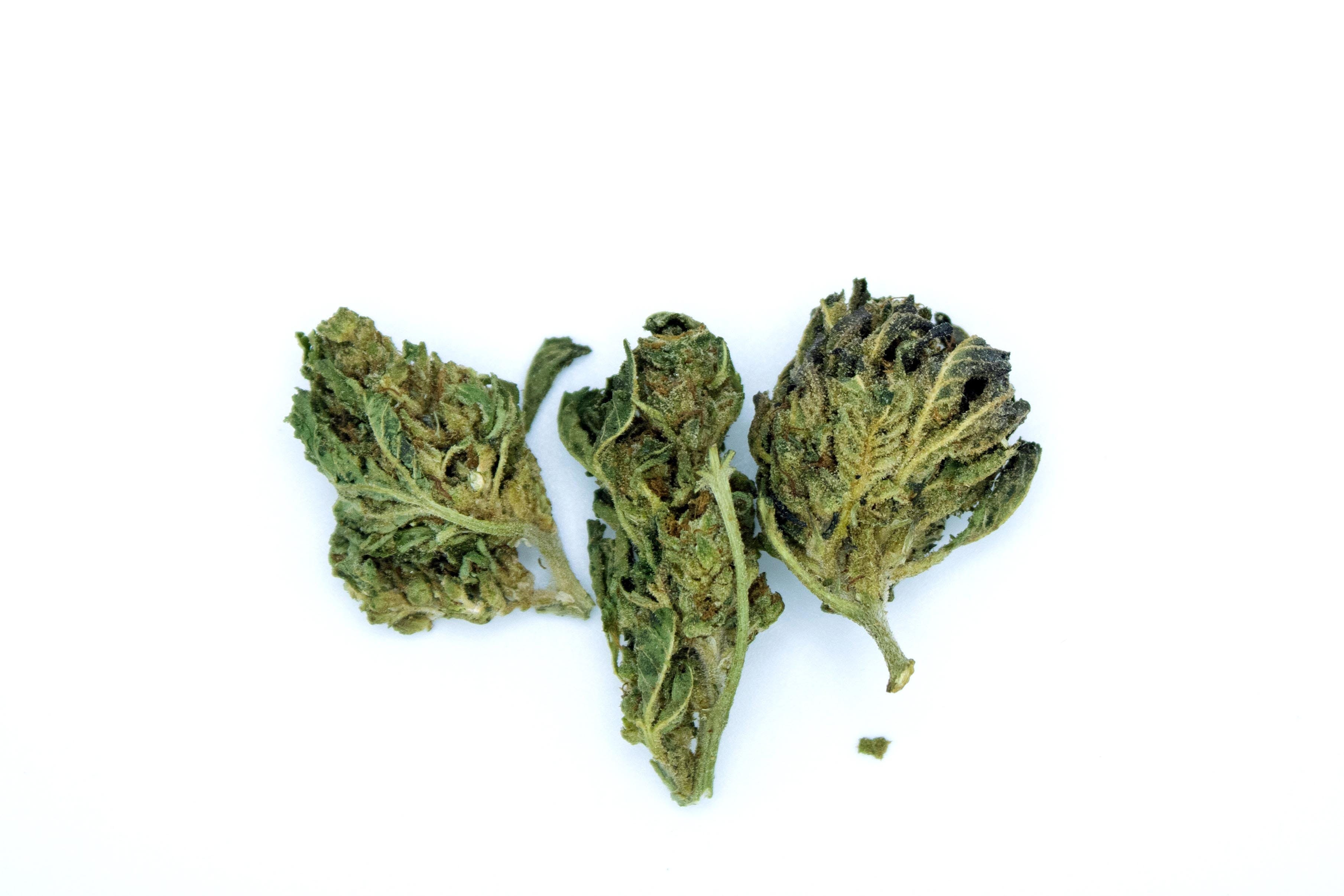 Caramel Gelato Smalls 1 Gram (30%THC,INDICA)