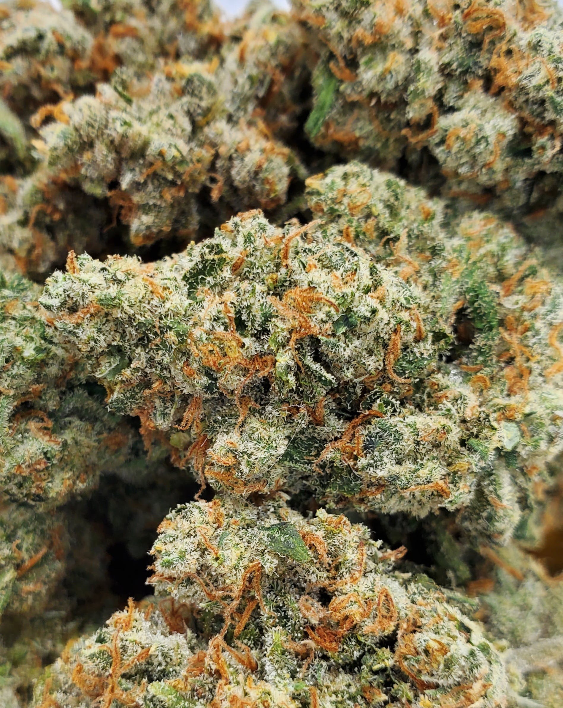 Alaskan Thunder Fuck