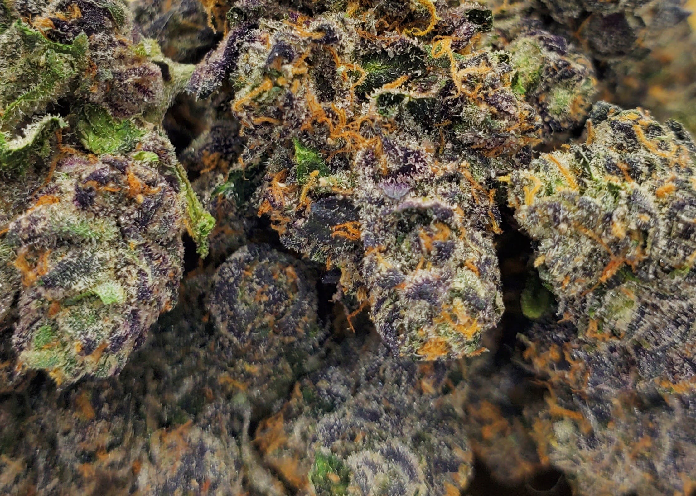 Blue Sherbert