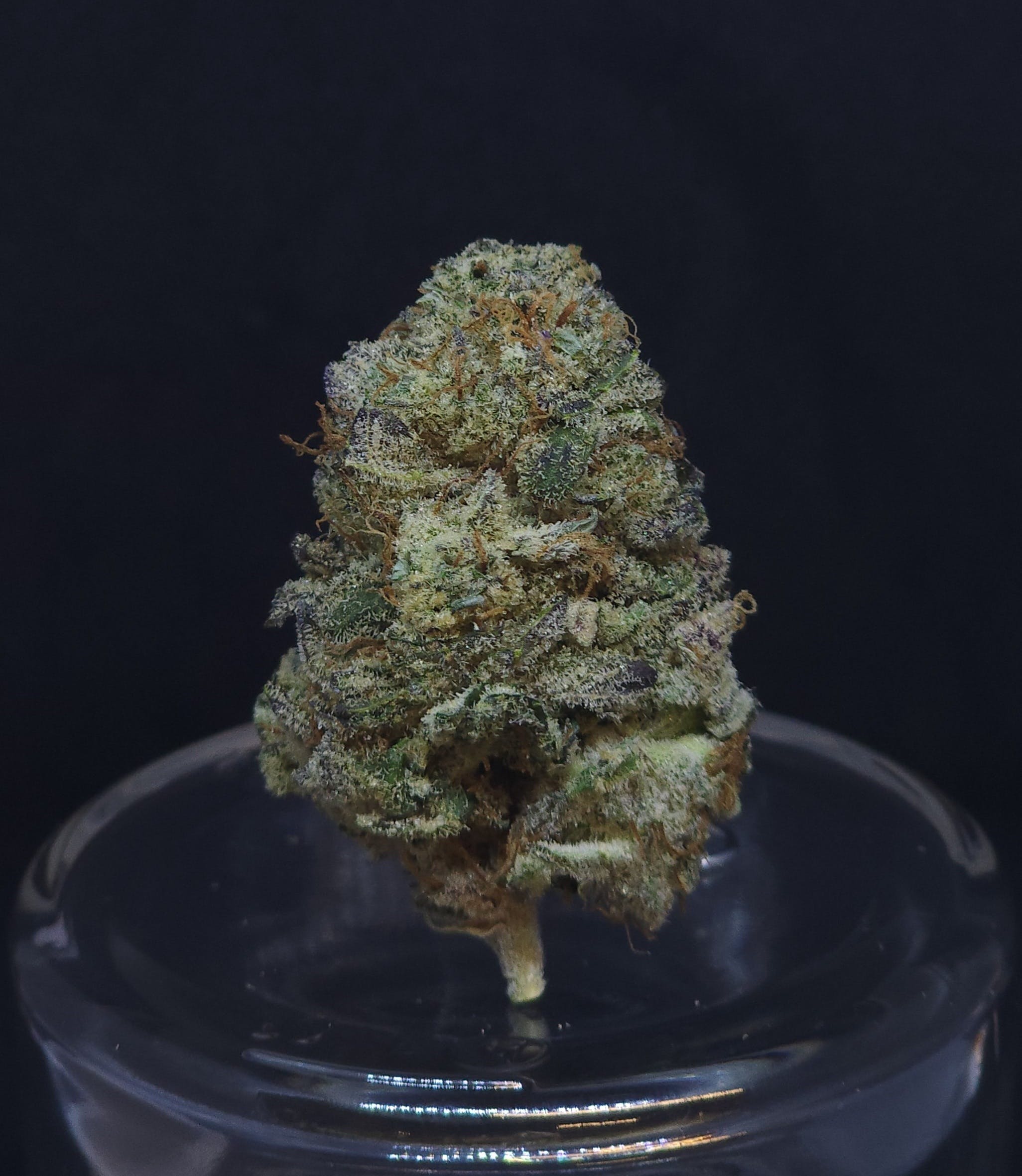 Grease Monkey .5g Pre-Roll 5 Pack