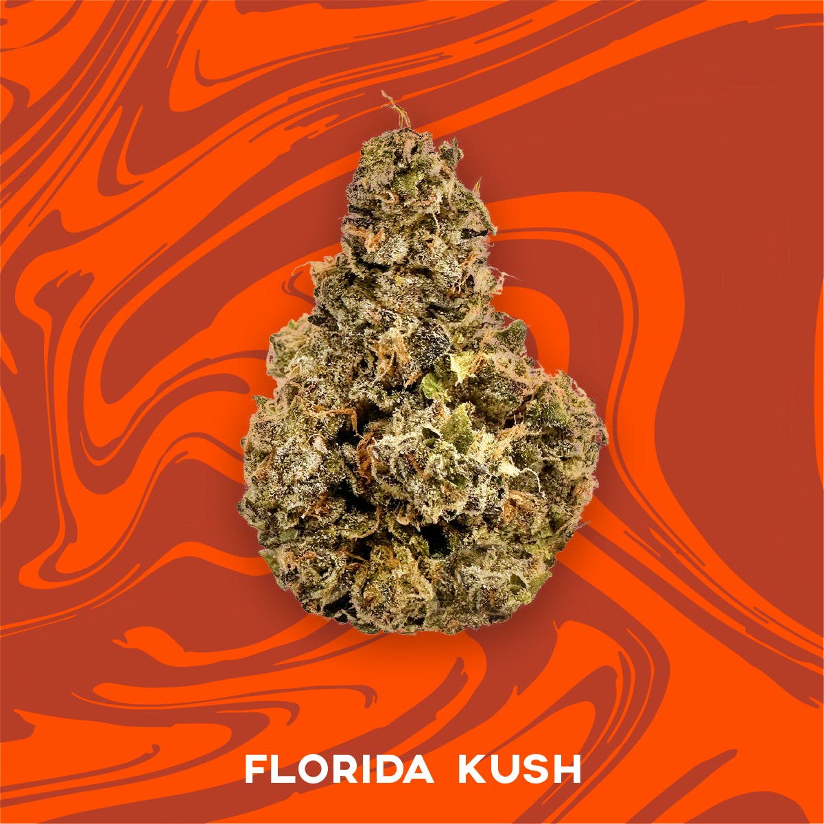 Vivid - Florida Kush - Indica