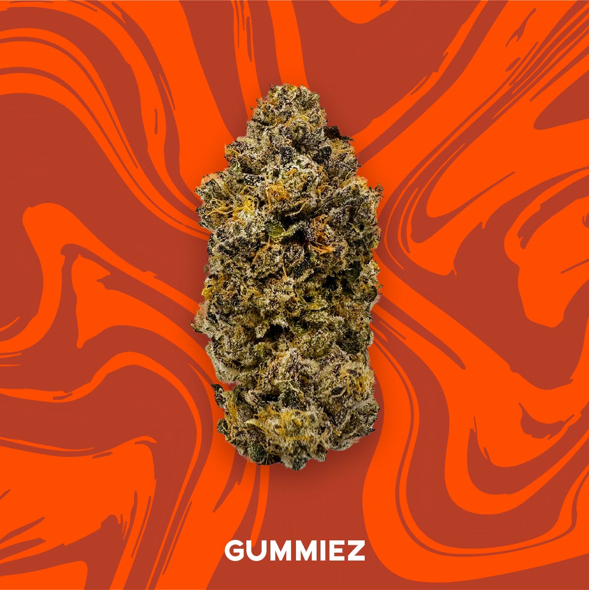 Vivid - Gummiez - Hybrid