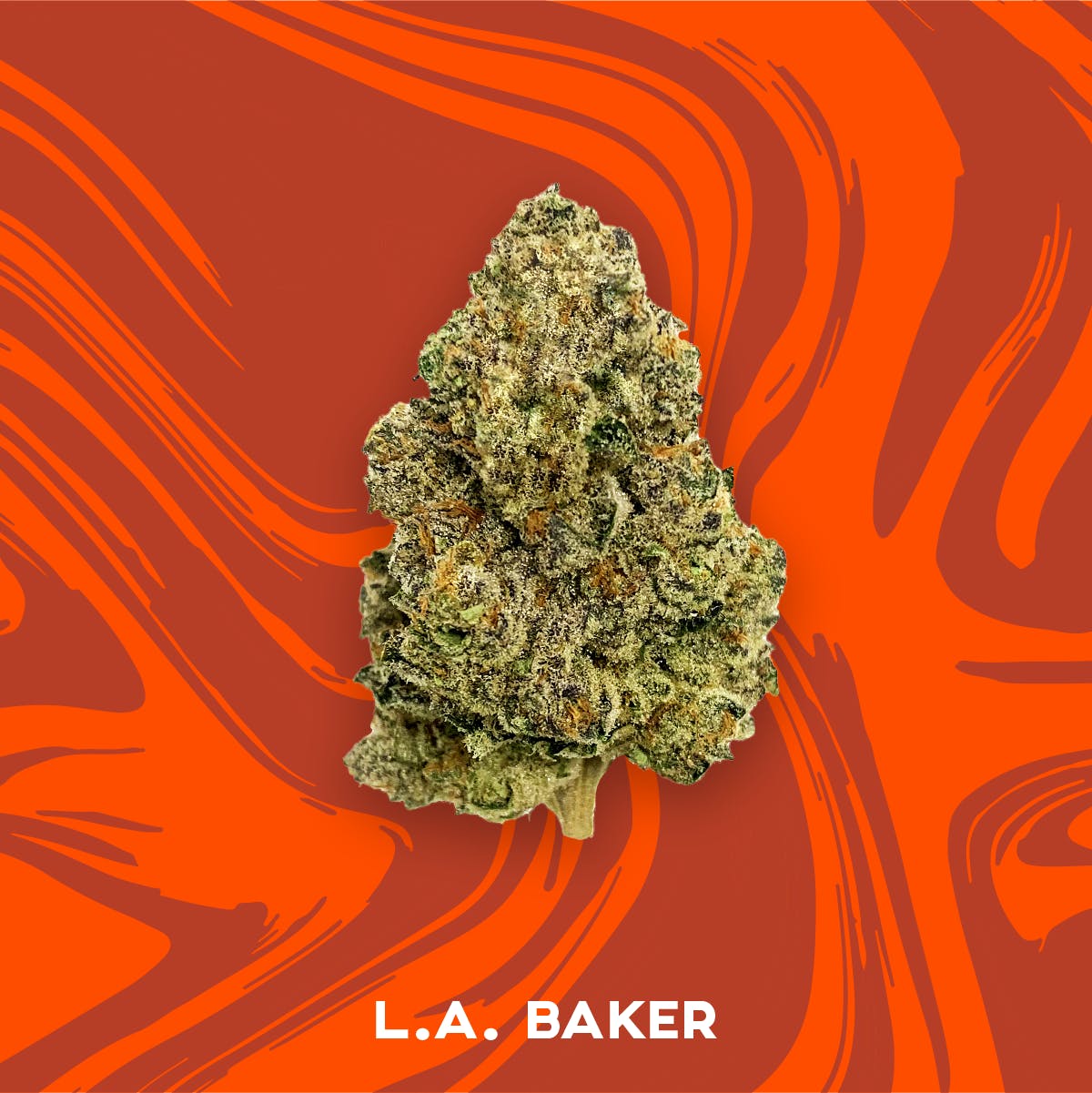Vivid - LA Baker - Indica Hybrid