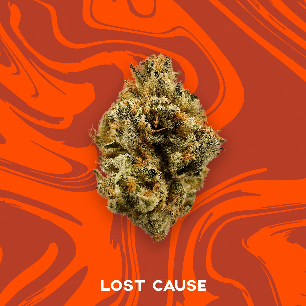 Vivid - Lost Cause - Indica Hybrid