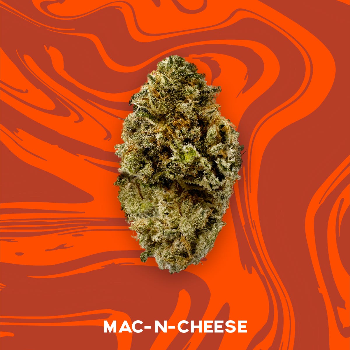 Vivid - MAC N Cheese - Hybrid