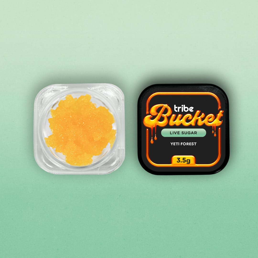 Yeti Forest - Live Sugar - Bucket - 3.5g