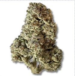 Sierra Hills - Top Gun (H) - 3.5g