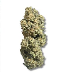 Exotix - Oreo Blizzard (H) - 3.5g