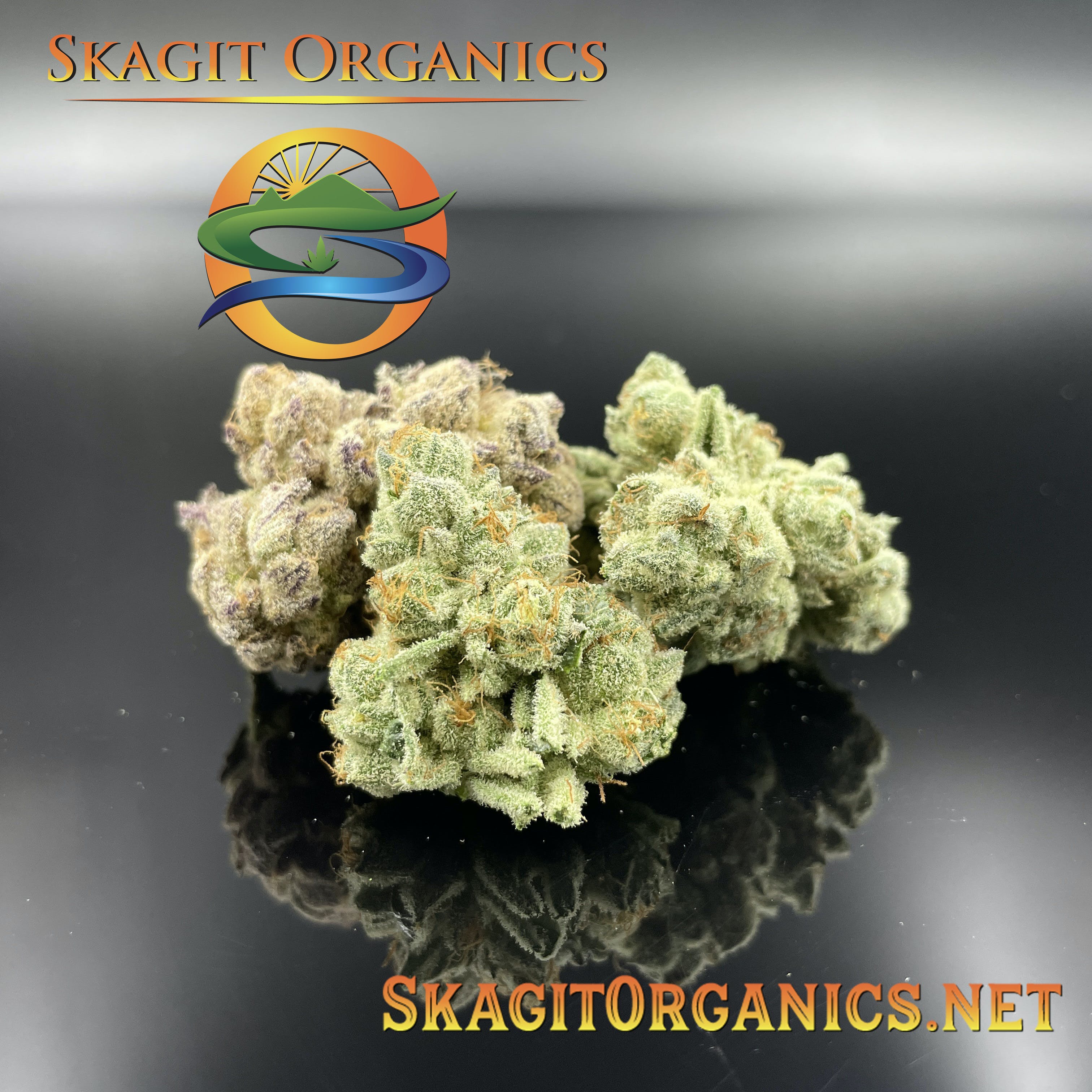 SPACE WEED - FLASH-FROZEN CURED