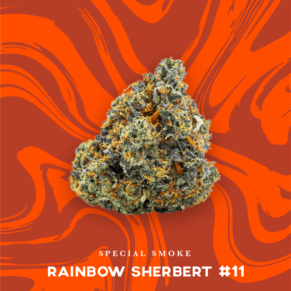 Vivid Special Smoke - Rainbow Sherbert #11 - Hybrid
