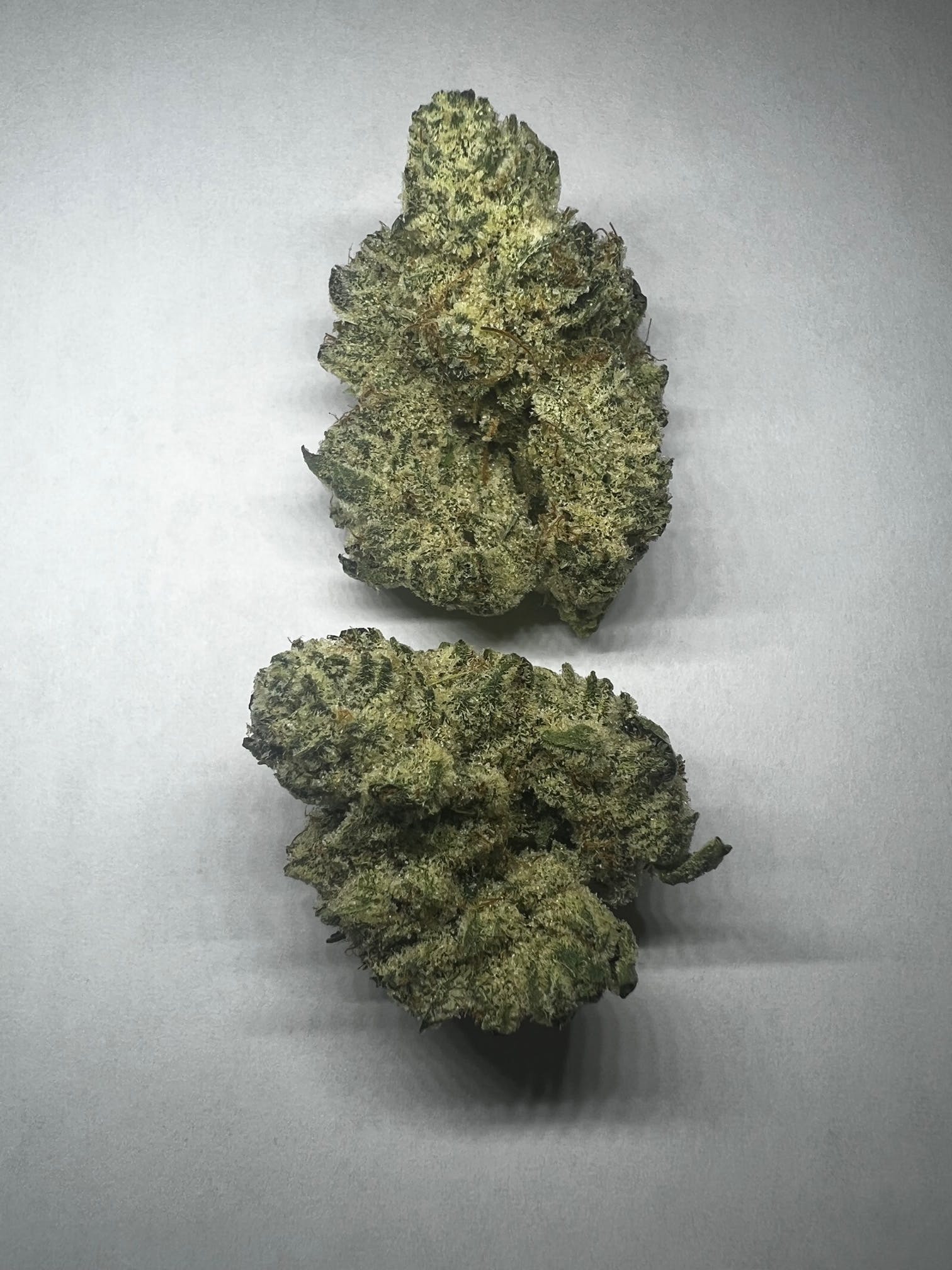 Gorilla Glue - 7g