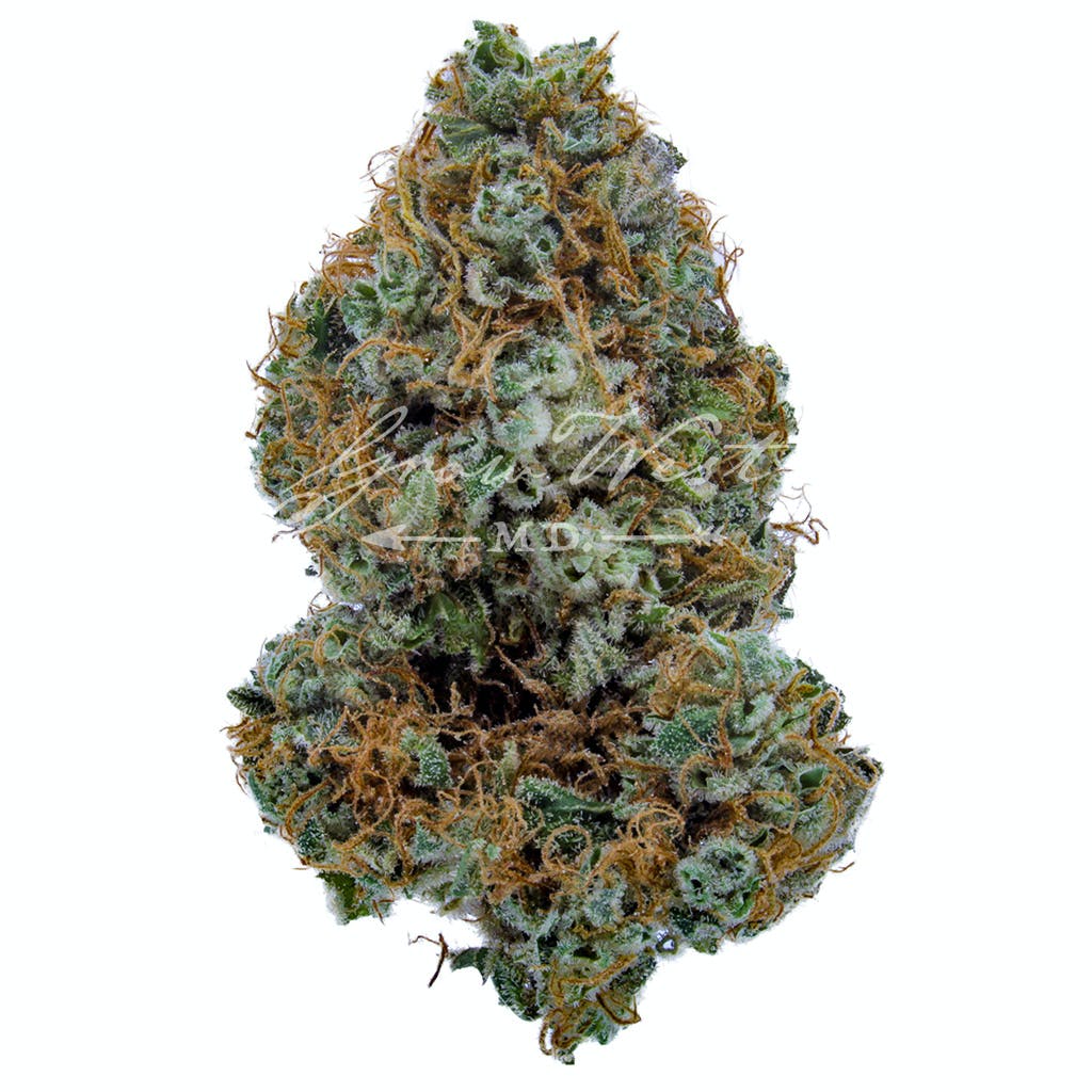 Cambodian Thai x BOEL Skunk Premium