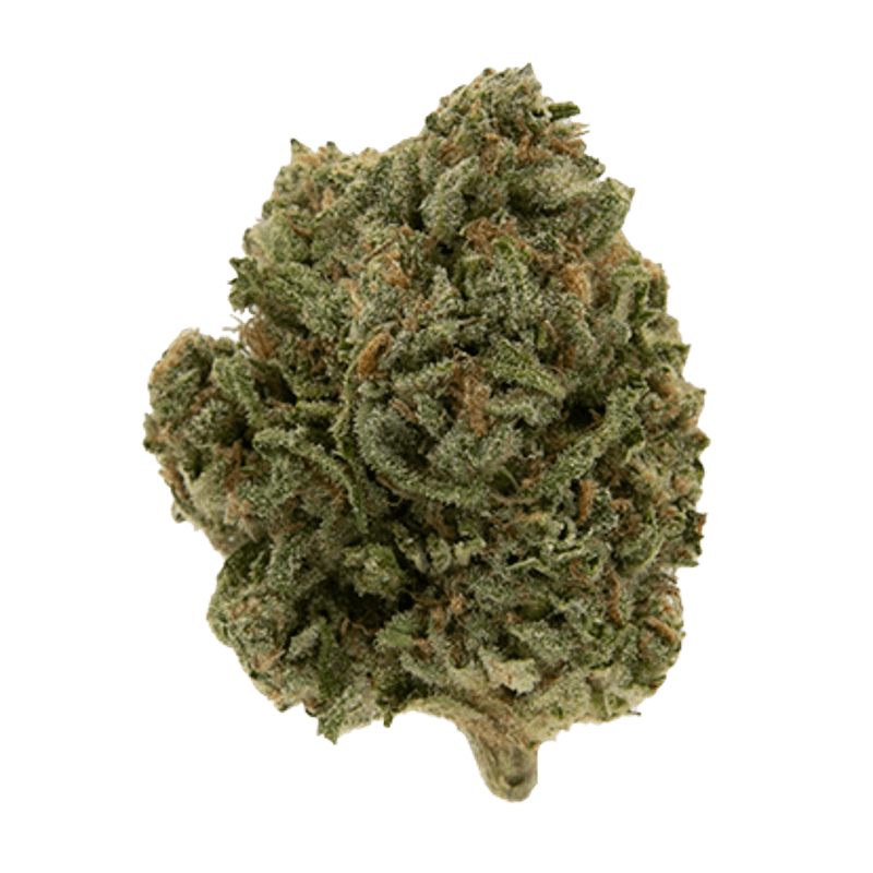 Black - Blue Dream (S) - 28g