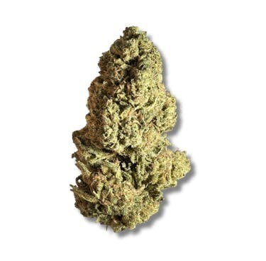 Black - Blue Rhino (H) - 28g
