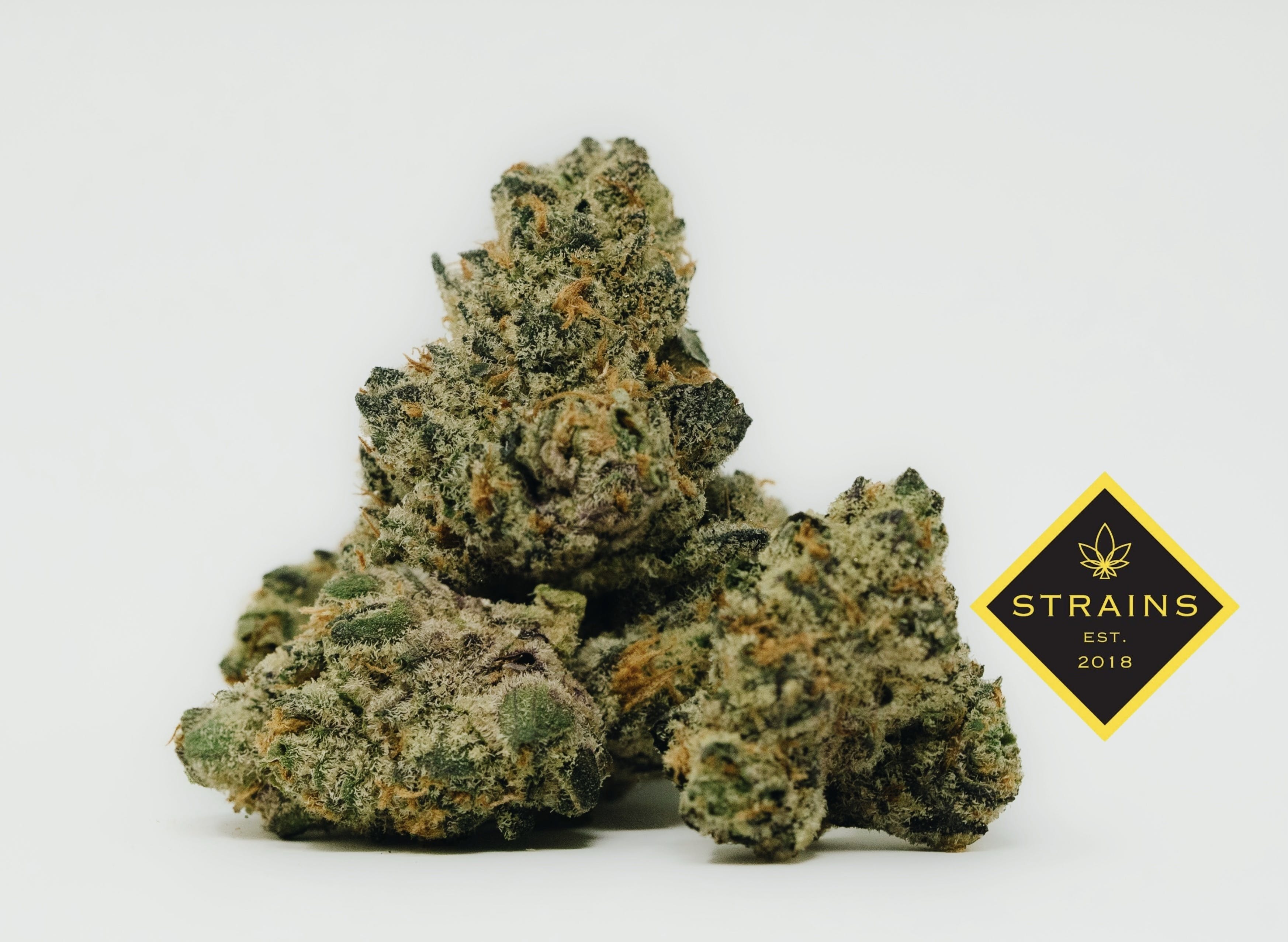 Mike & Gary #11 1/2oz