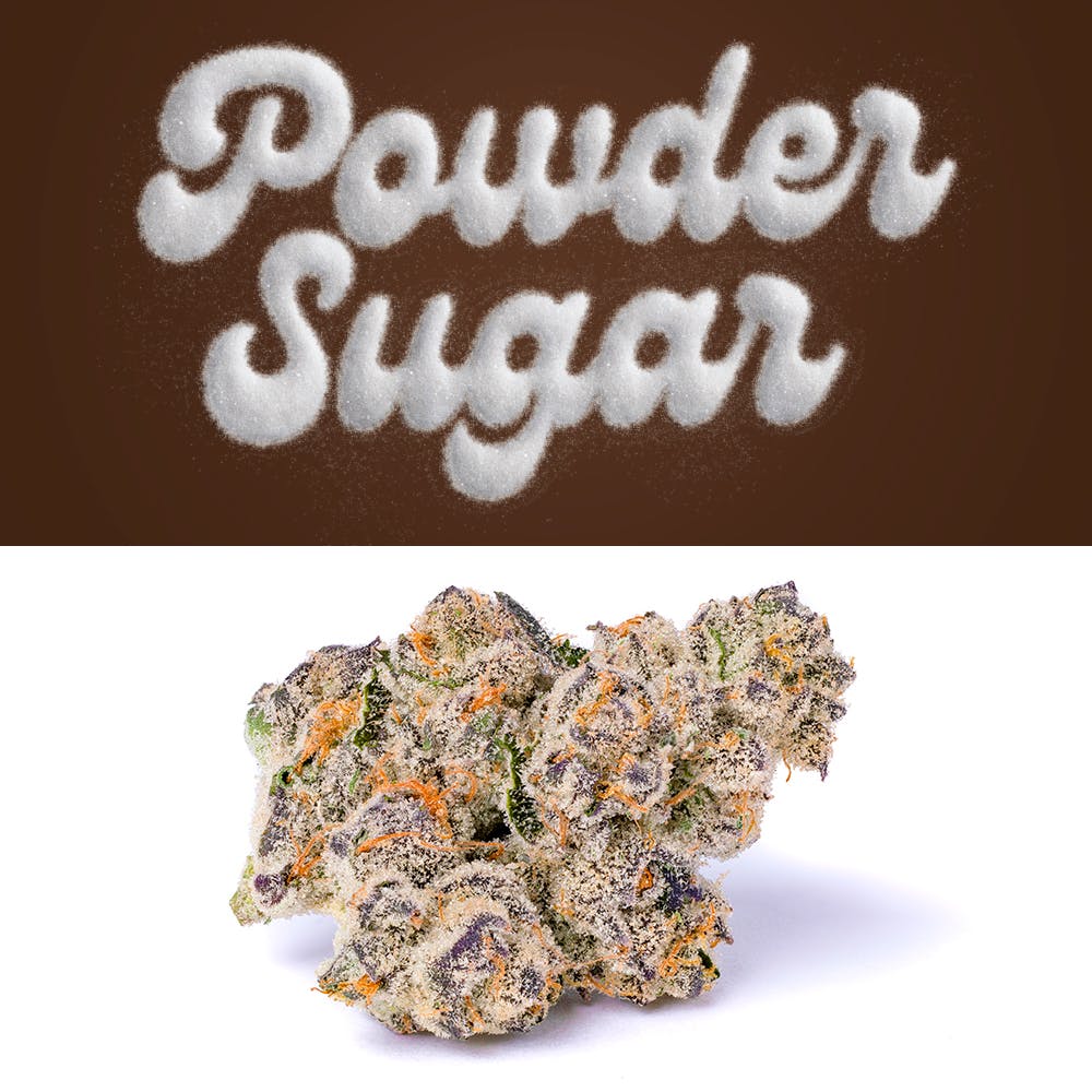 Cookies - Powder Sugar