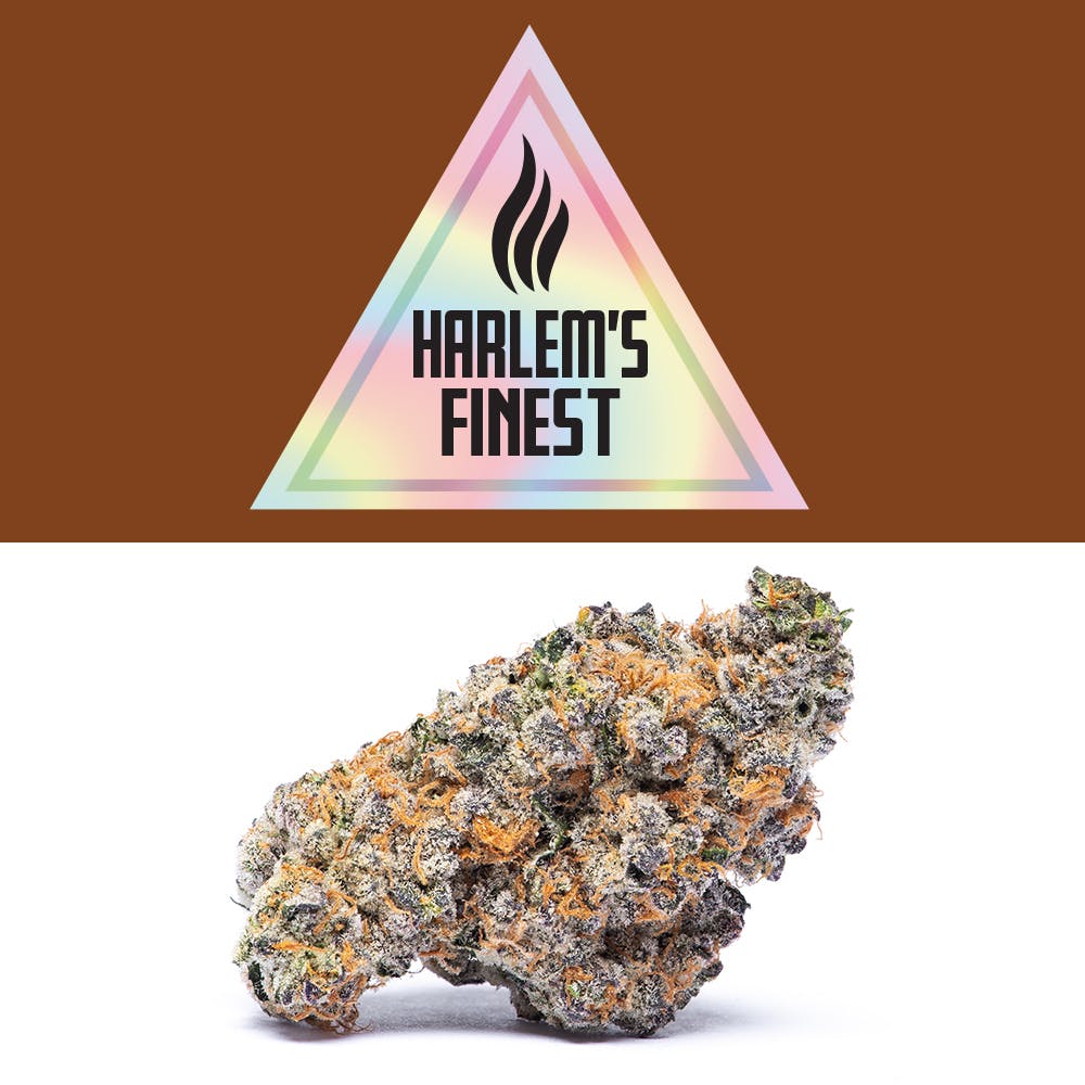 Branson - Harlem's Finest