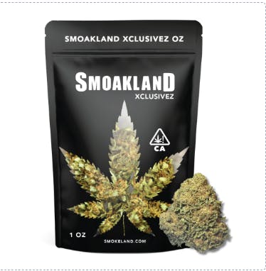 Exclusive - Ice Cream Cake (I) - 28g