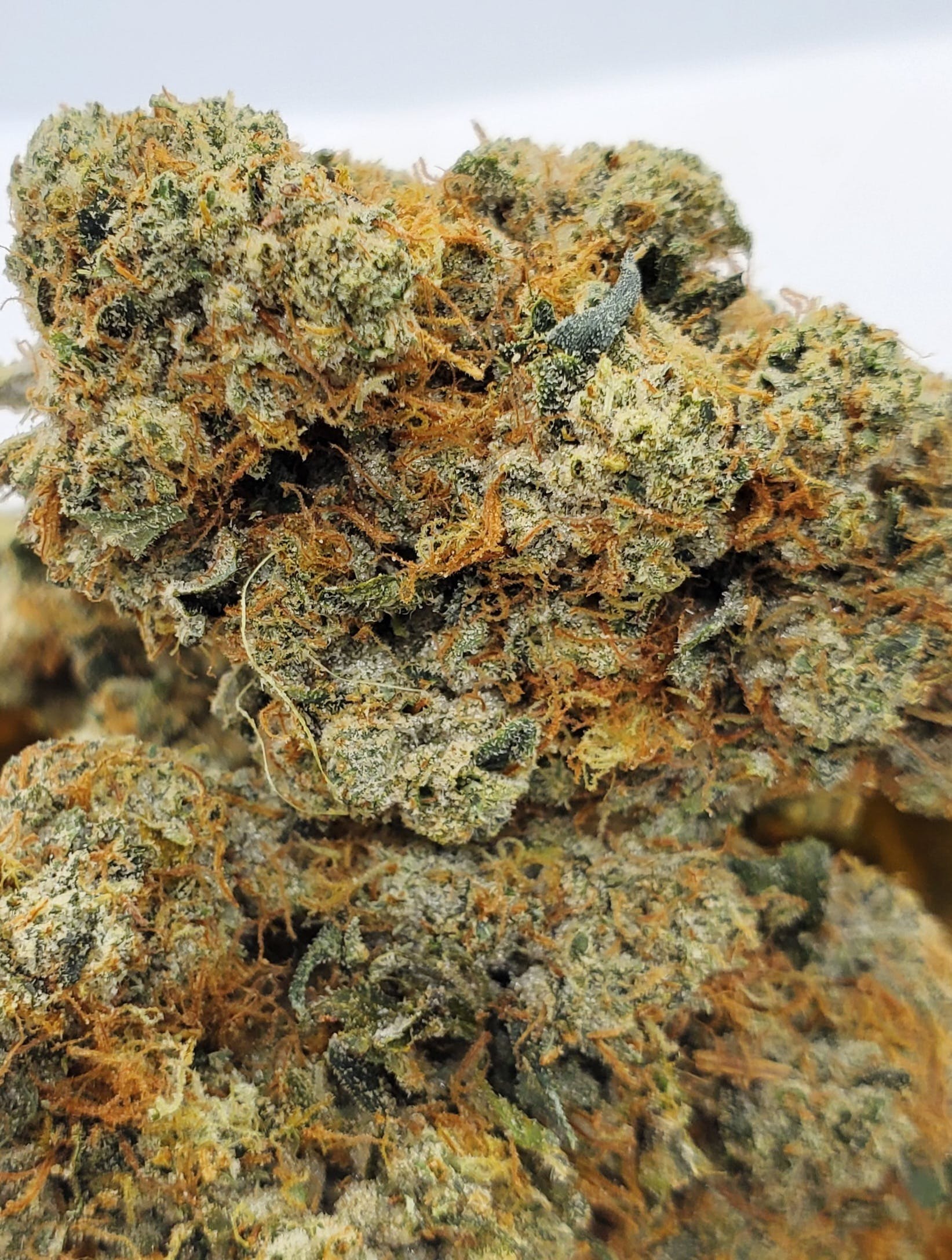 LA Confidential