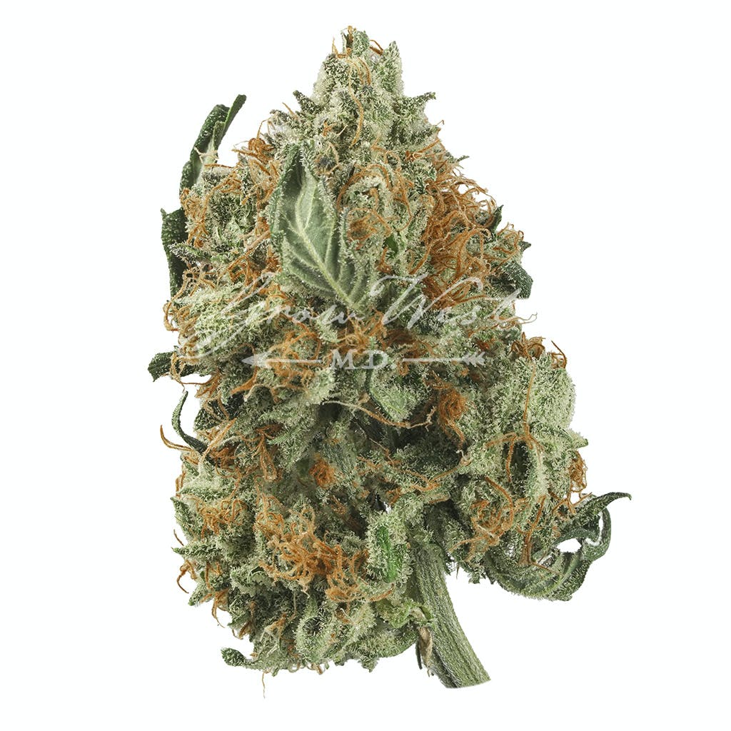 Do-Si-Dos Untrimmed | Silver