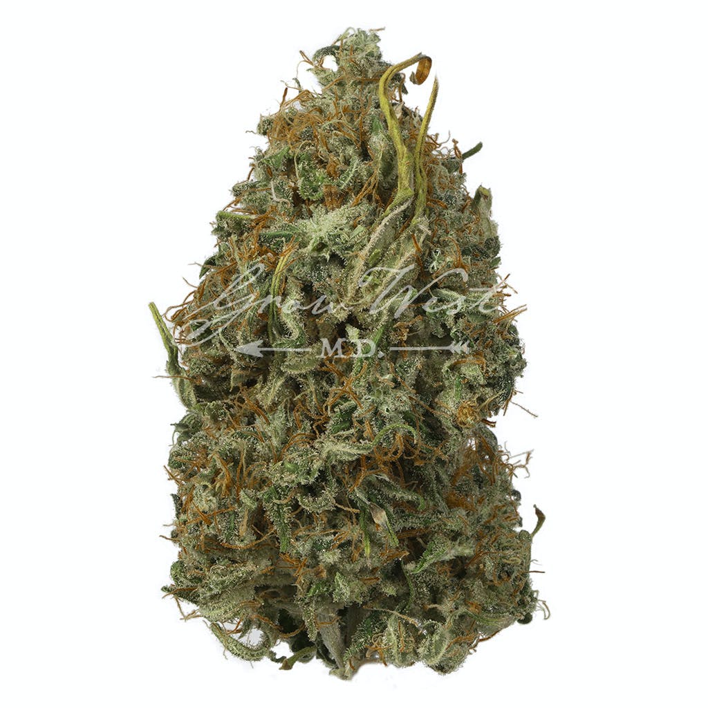 Gorilla Glue (GG#4) Untrimmed | Silver