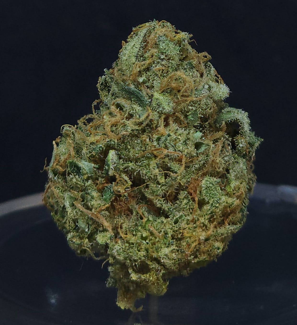 Bam Strikes Back .5g Pre-Roll