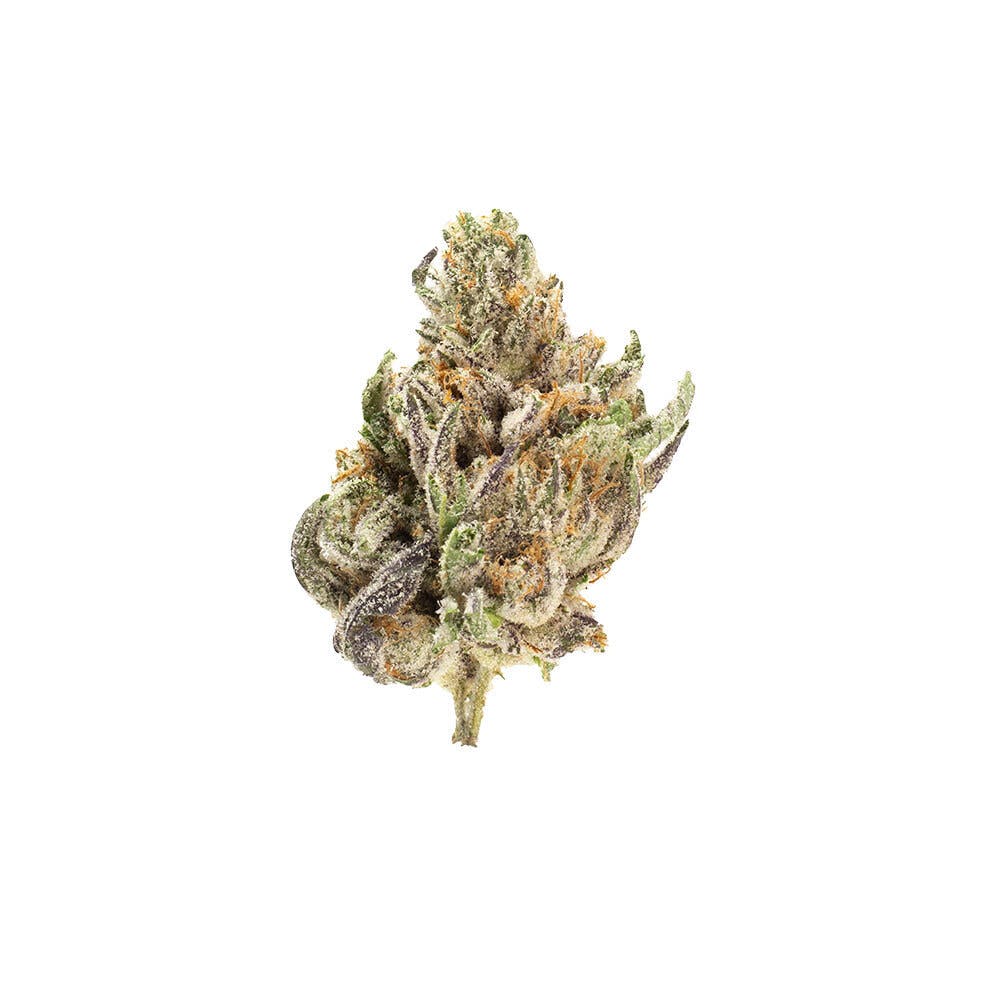 Grease Monkey Flower 14g