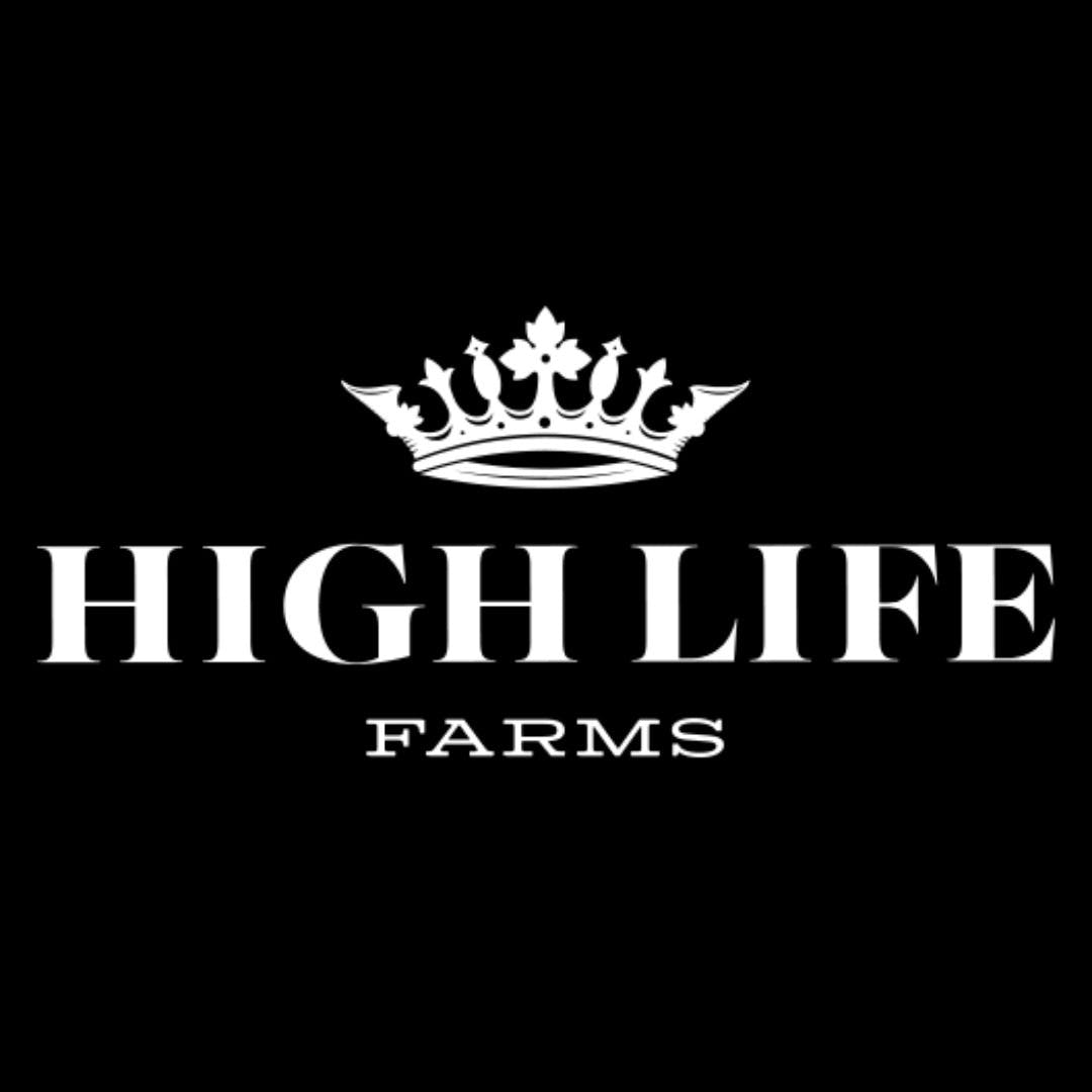 Nuggies Mint Chocolate