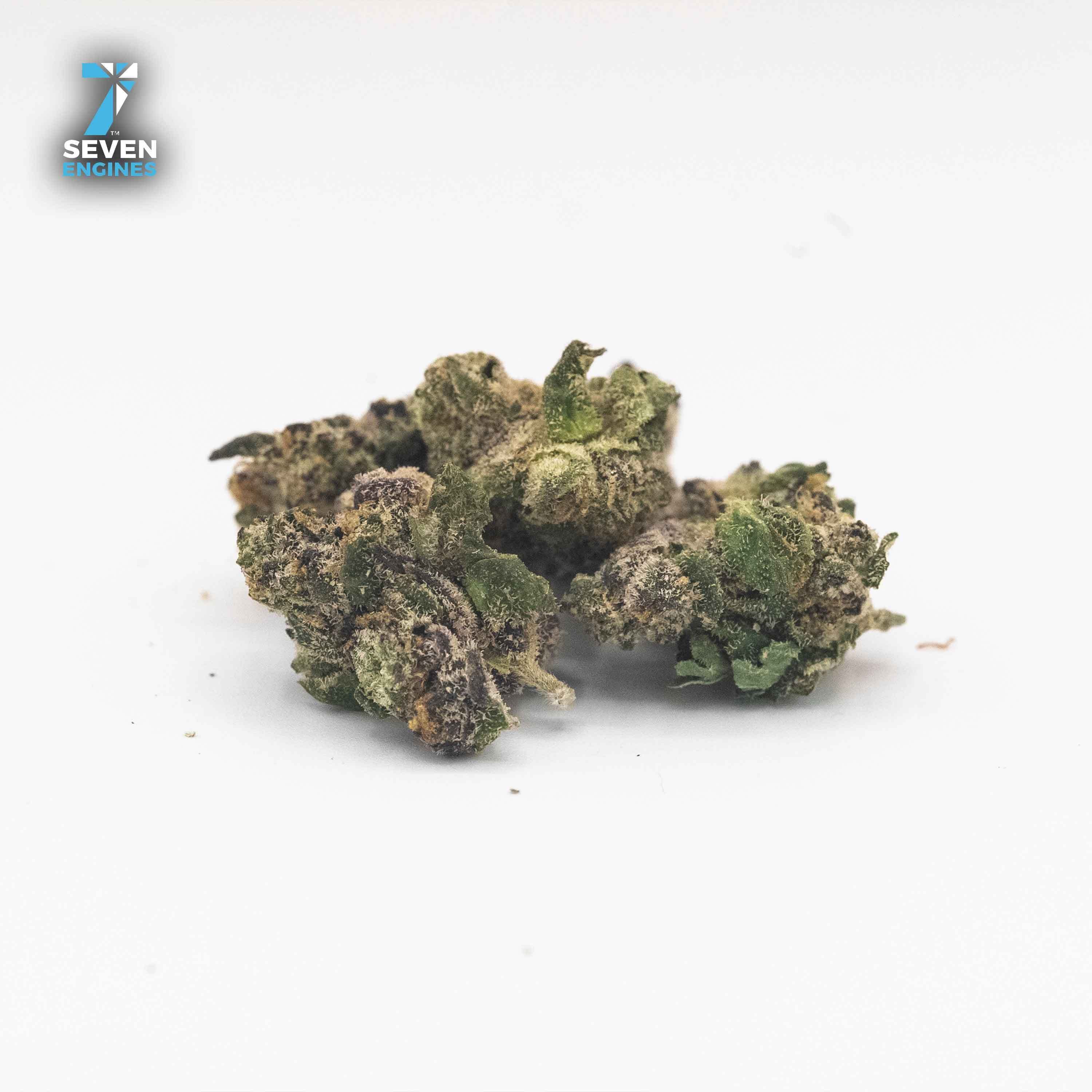 WHY YOU GELLY SMALLS 1/8TH