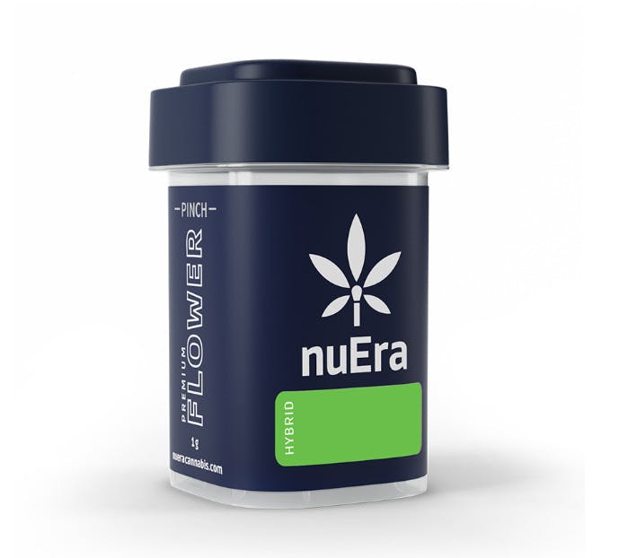 NuEra Orange Velvet Underground Flower