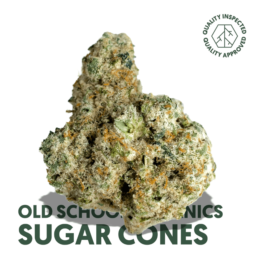 Sugar Cones (REC)