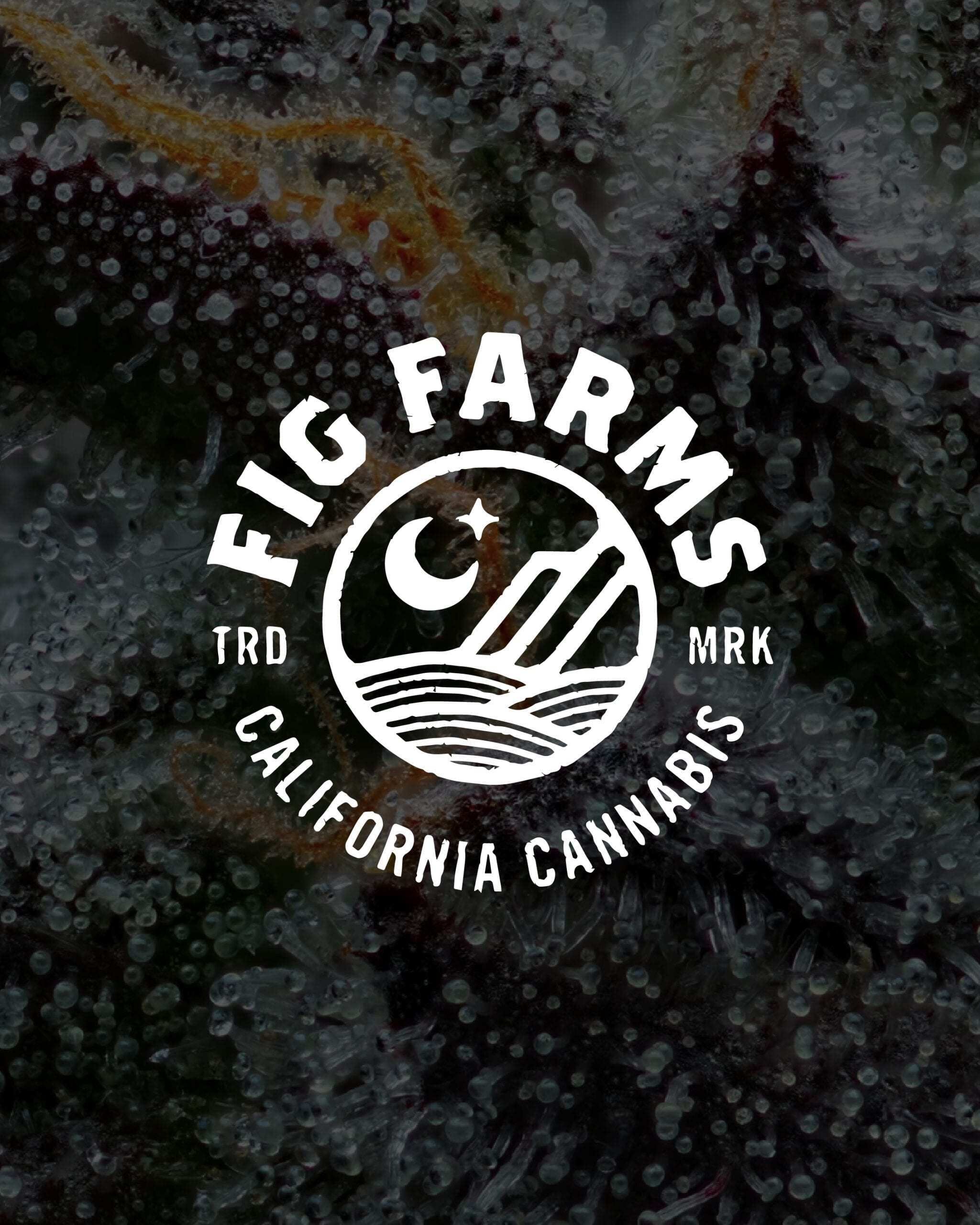  Fig Farms 3.5-Gram Lemon Cherry Gelato Eighth of Flower (Taxes May Apply)