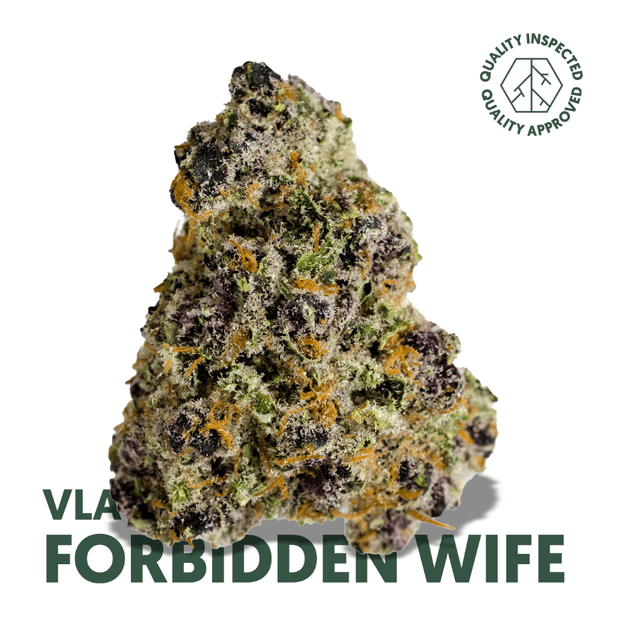 Vlasic Flower - Forbidden Wife 3.5g Prepackaged (REC)